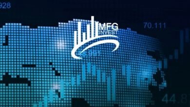 التحقق من ترخيص MFGinvest: ما الذي يجب معرفته؟