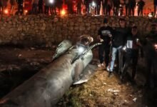اتفاق لوقف العمليات العسكرية وإعادة فتح مضيق هرمز أمام السفن