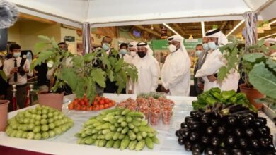 وزارة الزراعة: إنتاجية التفاح قد ترتفع إلى 13 طناً للدونم